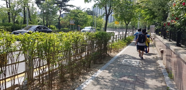 ▲ 자녀 안심 그린숲 사업 조성 모습.ⓒ충북도