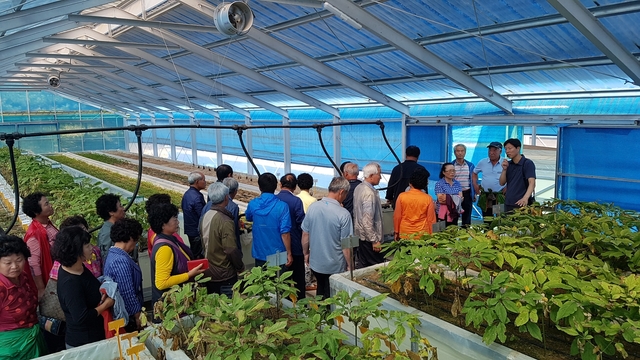 ▲ 경북도농업기술원 풍기인삼연구소에서는 10월30일까지 내년부터 경북농업마이스터대학 인삼과정을 운영한다.ⓒ경북도