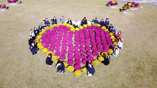 ▲ 고령군 다산면 ‘I ♡ 대가야 고령’ 추진위원회와 다산면 주민자치위원회는 지난 15일 아름답고 살기좋은 다산면을 만들기 위해 다산면 일대에 소규모 국화단지를 조성했다.ⓒ고령군