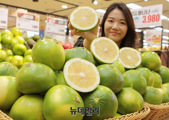 ▲ 23일 오전, 롯데마트 서울역점에서 홍보도우미가 '메로골드
킹자몽'을 소개하고 있다. ⓒ롯데쇼핑