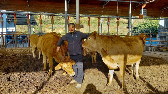 ▲ 경북 영주시 농업기술센터는 영주시 단산면에 위치한 덕풍농장의 오삼규 대표가 농촌진흥청에서 주관한 ‘2020년 대한민국 최고농업기술명인’ 축산분야에 명인으로 선정됐다.ⓒ영주시