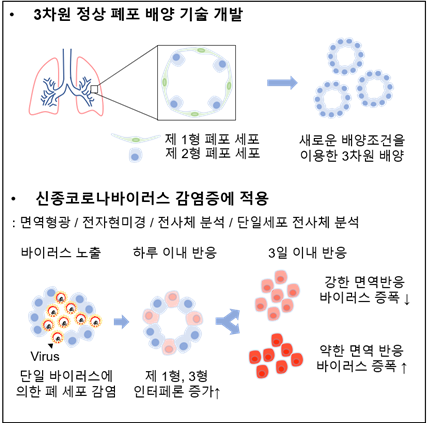 ▲ 연구요약도.ⓒKAIST