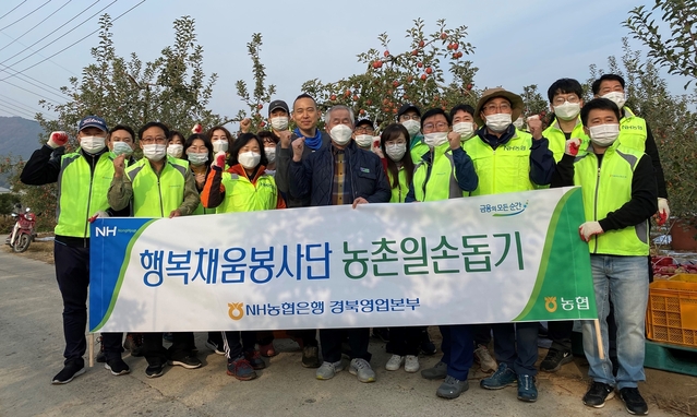 ▲ NH농협은행 경북본부 행복채움봉사단과 NH농협 안동시지부 임직원 20여명은 영농철을 맞아 사과농가를 찾아 농촌 일손돕기를 진행했다.ⓒNH농협은행 경북본부