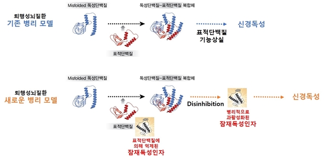 ▲ 기존 병리모델과 새로운 병리모델 비교.ⓒDGIST