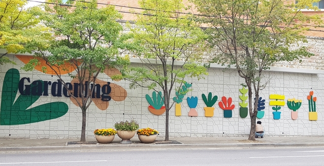 ▲ 달성군은 낙후된 지역 경관을 개선하고 품격 있는 도시 이미지 창출을 위한 도시환경개선 사업 추진으로 화원읍 명천로에 꽃과 빛을 테마로 특색 있게 연출했다.ⓒ달성군