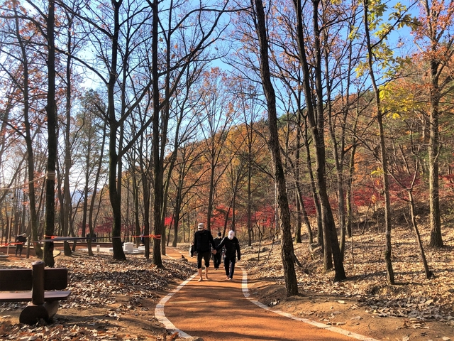 ▲ 구미시는 시민들의 지친 일상을 치유할 수 있는 친환경 숲속쉼터인 연악산 산림욕장을 조성해 시민들에게 개장했다.ⓒ구미시