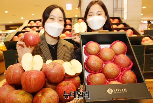 ▲ 13일 서울 중구 롯데백화점 본점에서 모델들이 '서리맞은 부사사과'를 홍보하고 있다. ⓒ롯데쇼핑