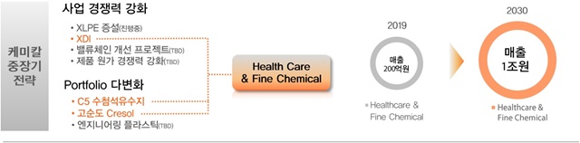▲ 헬스케어 및 정밀화학사업 중장기 전략. ⓒ한화솔루션