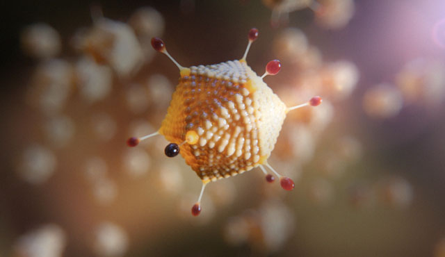 ▲ 아스트라제네카와 옥스퍼드대가 우한코로나 백신을 개발하는데 사용한 아데노바이러스. ⓒ아스트라제네카 공개사진.