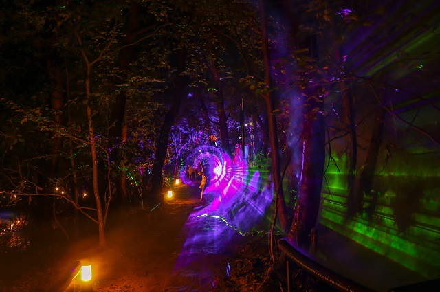 ▲ 경주엑스포는 최근 ‘신라를 담은 별’ 코스 중 ‘시공간의 터널’ 구간을 장식하고 있는 포그(fog․안개) 머신 8대를 새롭게 도입해 안개효과를 더욱 풍부하게 강화했다.ⓒ경주엑스포