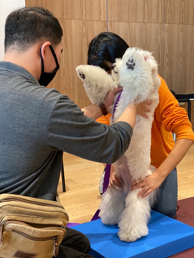 ▲ ⓒ소노호텔&리조트