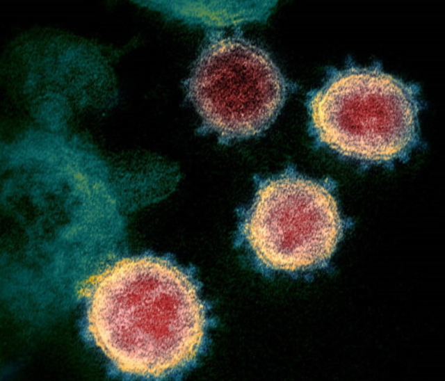 ▲ ⓒ질병관리청