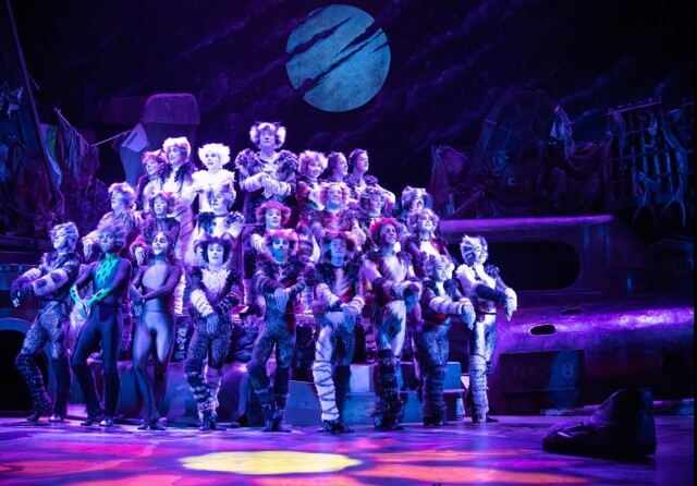 ▲ 뮤지컬 '캣츠' 40주년 내한 공연.ⓒ에스앤코