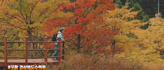 ▲ 경북문화관광공사 ‘60초 경북여행 영화제’ 공모전 수상작.ⓒ경북관광공사