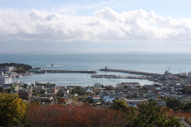 ▲ 경주 감포항의 연안항 지정이 본격적인 궤도에 오를 것으로 전망된다.ⓒ경북도