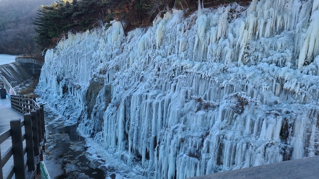 ▲ 달성군이 대구 대표 관광지인 옥연지 송해공원에 빙벽과 야간 경관조명을 설치해 아름답고 웅장한 장관을 선사한다.ⓒ달성군