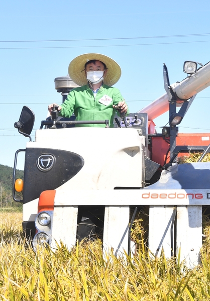 ▲ 경북도는 올해 농업분야 예산을 작년보다 1,664억원 늘어난 9,226억원을 편성했다고 5일 밝혔다. 사진은 지난해 이철우 도지사가 직접 벼베기하는 장면.ⓒ경북도