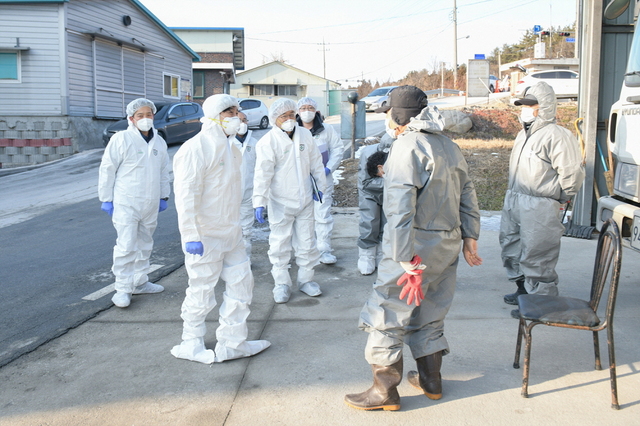 ▲ 세종시 부강면의 한 양계농장에서 발생한 조류인플루엔자(AI) 바이러스가 고병원성으로 확진, 방역당국이 추가 확산 방지를 위해 긴급 살처분에 들어갔다. 5일 이춘희 시장이 부강면 발생 농가를 찾아 농민들과 대책을 협의하고 있다.ⓒ세종시