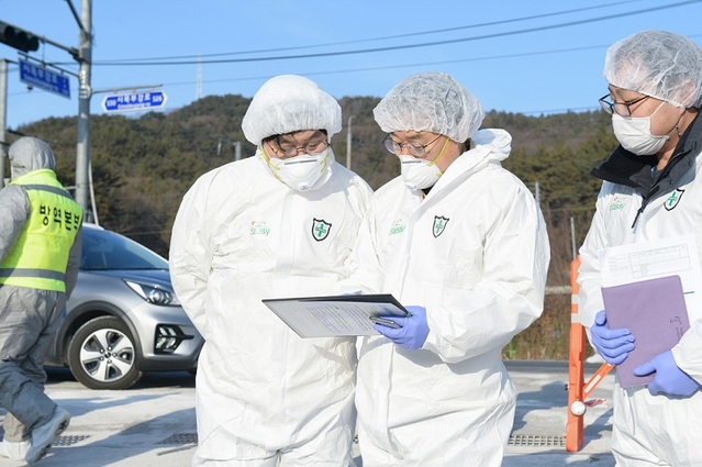 ▲ 5일 충남 천안과 세종시 부강면, 음성군 삼성면 등 3곳에서 고병원성 AI가 확진됐다. 사진은 이춘희 세종시장이 부강면 산란계 농장에서도 고병원성 AI 확진으로 13만여 마리에 대한 살처분에 앞서 관계자들과 함께 방역대책을 협의하고 있다. 세종시는 7일 인근 농장 10곳 27만 3000마리에 대해서도 살처분하기로 했다.ⓒ세종시