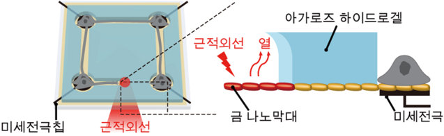 ▲ 나노 광열 신경 칩 플랫폼 모식도.ⓒKAIST