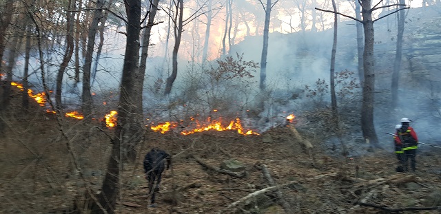 ▲ 영덕군 창수면 오촌리의 한 야산에서 원인을 알 수 없는 산불이 발생했다.ⓒ영덕군
