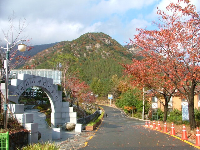 ▲ 성주군은 산림에서 미래를 창출할 건강한 산림육성과 복지휴양공간 조성에 박차를 가하고 있다.ⓒ성주군