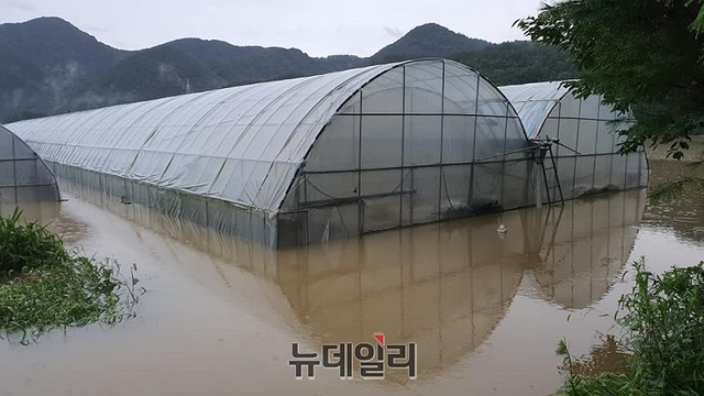 ▲ 지난해 8월 집중호우 당시 용담댐 과다방류로 피해를 입은 비닐하우스.(자료사진)ⓒ뉴데일리 충청본부 DB
