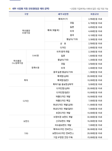 ▲ 글로벌 IP 스타기업 세부사업 안내 사진.ⓒ포항상의