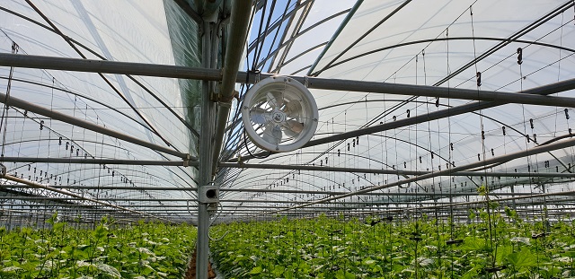 ▲ ICT를 접목한 스파트팜 사진.ⓒ군위군