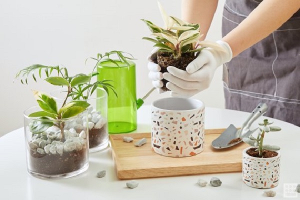 ▲ ⓒ아성다이소