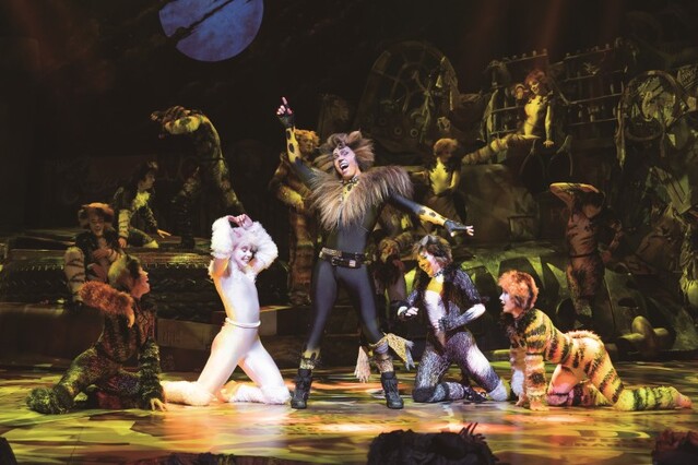 ▲ 뮤지컬 '캣츠' 공연 스틸.ⓒ에스앤코