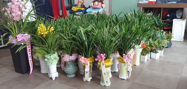 ▲ 청도군 공무원들이 축하용으로 들어온 화분 200여점을 나눔장터에 기증하고 있어 눈길을 끈다.ⓒ청도군