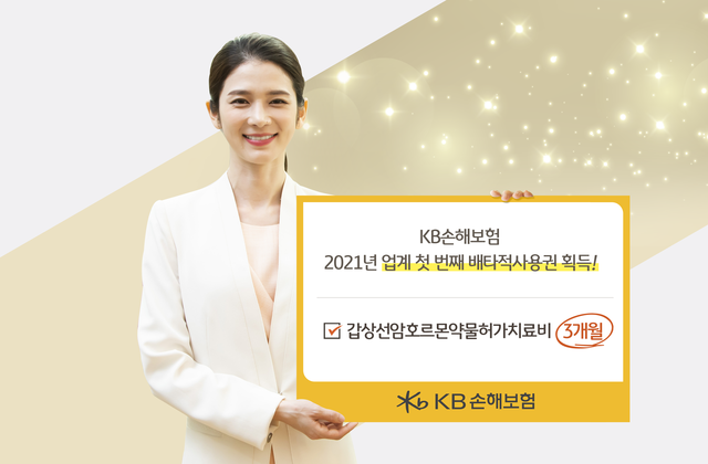 ▲ ⓒKB손해보험