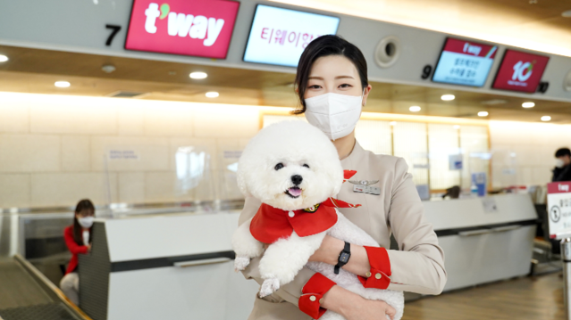 ▲ ⓒ 티웨이항공