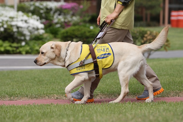 ▲ ⓒ소노호텔&리조트