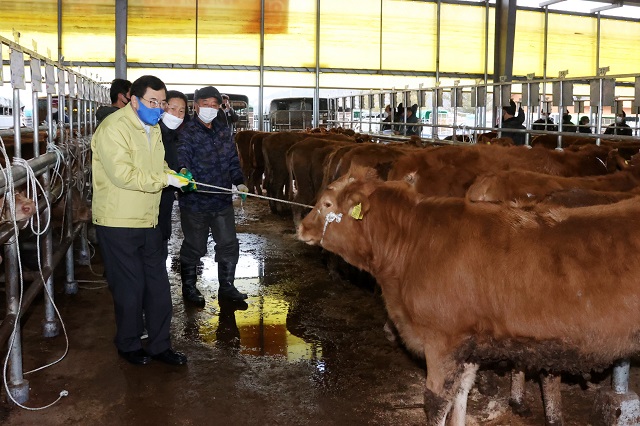 ▲ 주낙영 시장은 경주가축시장을 직접 찾아 운영현황과 가축거래실태를 살펴보고 축산농가의 애로사항을 경청하고 있다.ⓒ경주시