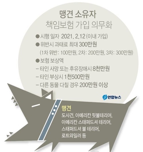 ▲ 맹견을 기르고 있는 사람은 내년 2월 12일까지 맹견 책임보험에 가입하지 않으면 최대 300만원의 과태료가 부과된다. ⓒ연합뉴스