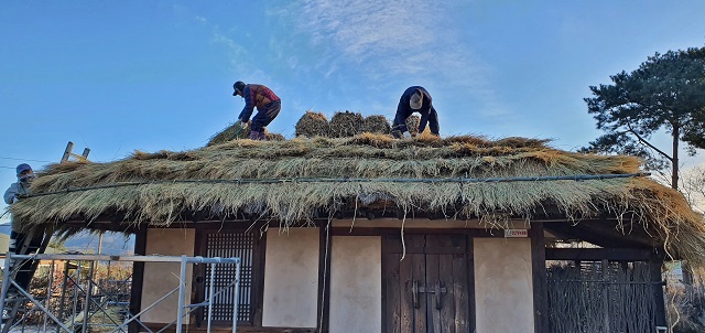 ▲ 경주시는 건천읍 모량리의 박목월(朴木月 1915-1978) 시인 생가 지붕 이엉 교체 작업을 하고 있다.ⓒ경주시