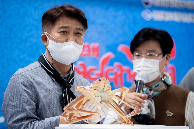 ▲ 이희진 군수는 비대면 방식 온라인 ‘영덕대게축제’에서 영덕대게를 홍보를 하고 있다.ⓒ영덕군