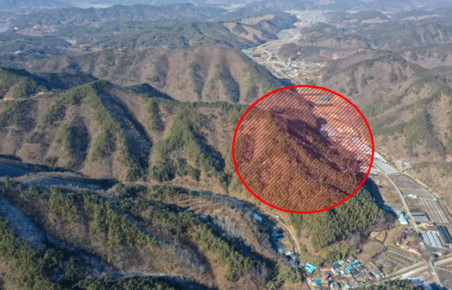 ▲ 영동군 학산면 도덕리에 들어설 SK연수원 예정부지.ⓒ영동군