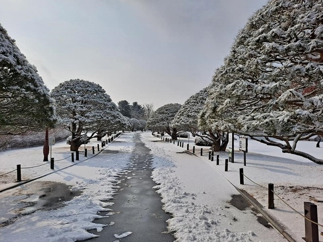▲ 눈에 덮힌 청남대 전경.ⓒ이설호 청남대 관리사업소장 페이스북 캡처