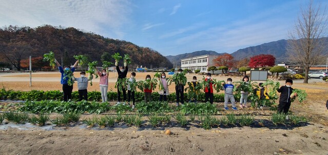 ▲ 경북교육청은 농산어촌지역 소규모 학교의 교육과정 정상화 및 교육여건 개선을 위해 2021학년도 ‘작은 학교 가꾸기 사업’을 시행한다.ⓒ경북교육청