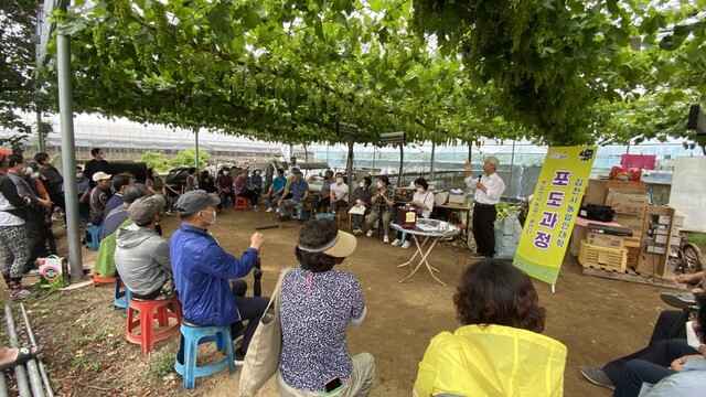 ▲ 김천시(시장 김충섭)는 관내 농업인의 기술향상을 위해 ‘2021년 김천시 포도대학 샤인머스캣 기초·심화과정’을 2월 10일부터 21일까지 김천시농업기술센터 홈페이지를 통해 접수한다.ⓒ김천시