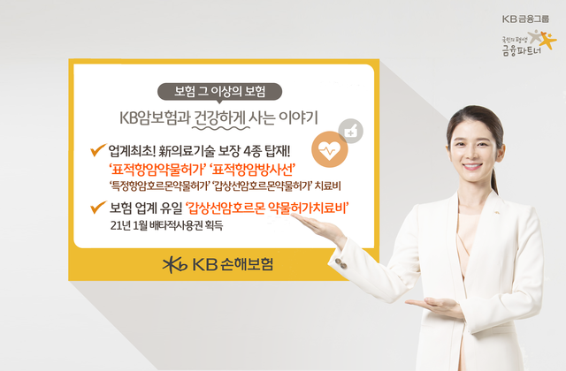 ▲ ⓒKB손해보험