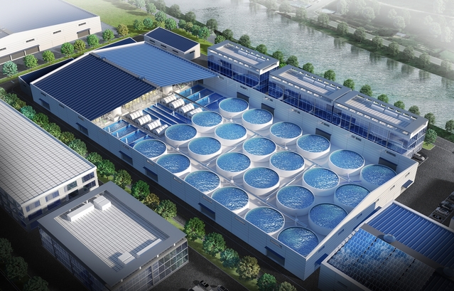 ▲ 경상북도는 수산양식 스마트화로 양식산업 재도약을 선언했다.ⓒ경북도