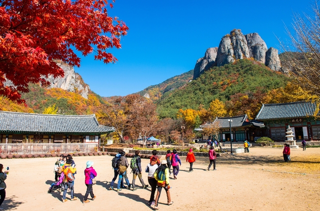 ▲ 청송군(군수 윤경희)이 2021년 문화·체육·교통 분야에 예산 189억 원을 편성하여 ‘문화와 체육이 어우러지는 군민이 행복한 청송 건설’이라는 추진목표를 설정하고, 이를 실현하기 위한 다양한 정책을 펼친다.ⓒ청송군