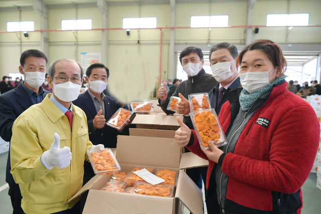 ▲ 청도군(군수 이승율)은 청도반시가 노로바이러스에 대한 저해 효과가 99.9% 된다고 밝혔다. 앞줄 왼쪽이 이승율 청도군수.ⓒ청도군