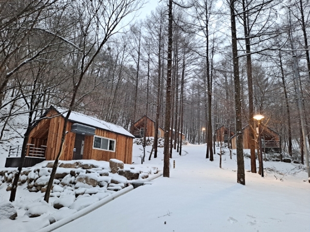 ▲ 조령산자연휴양림내 통나무 숙박시설.ⓒ충북도