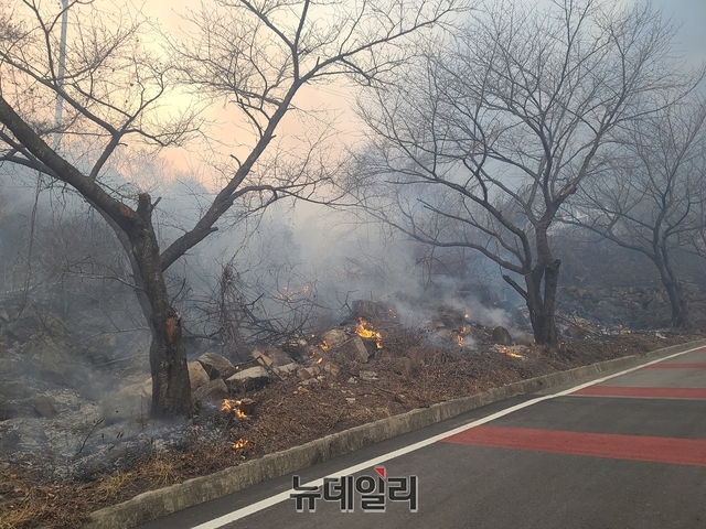 ▲ 안동시 임동면 거리에 산불 잔해가 남아있는 장면.ⓒ뉴데일리