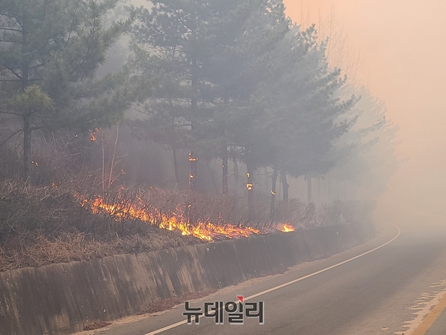 ▲ 안동시는 산불이 번지자 인근주민 300여가구 450여명을 긴급 대피 시켰으며, 현재까지 인명피해는 없고, 피해면적은 파악 중에 있다.ⓒ뉴데일리